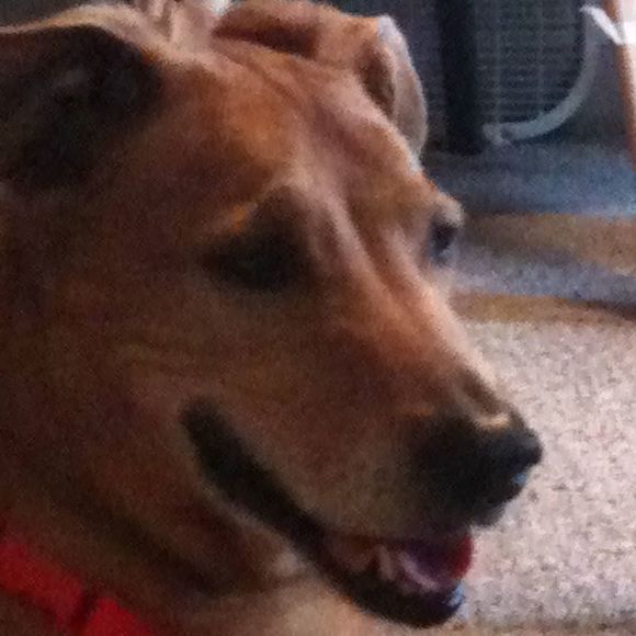 Meet your Posher, Kalla - Picture 1 of 1